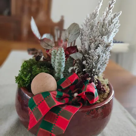 Alloggio per agriturismo Casa Do Avo Gil