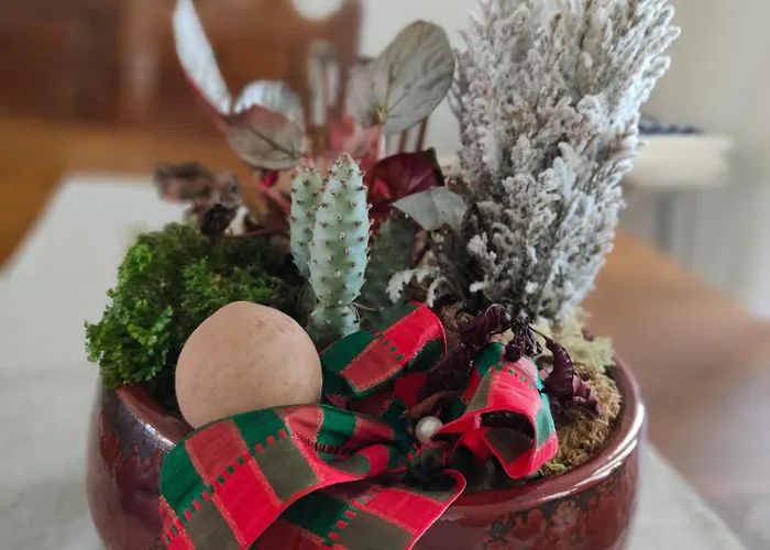 农家乐 Casa Do Avo Gil